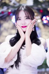 Arang