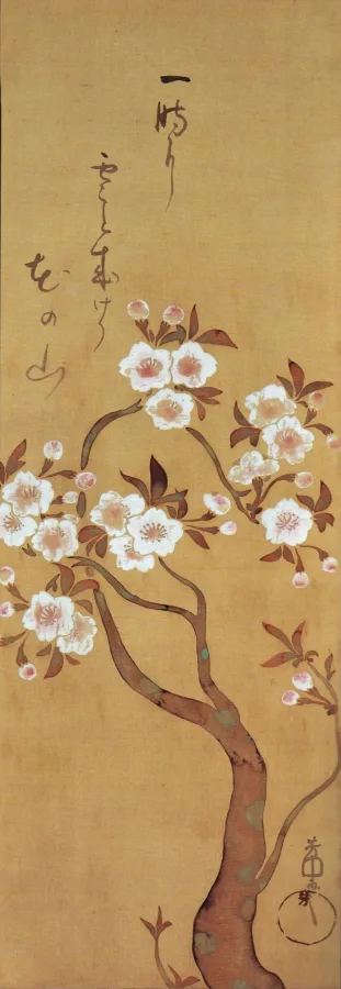 中村芳中