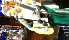 Dia Frampton