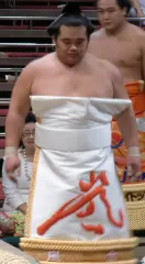 千代嵐慶喜