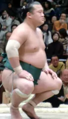 岡本将之