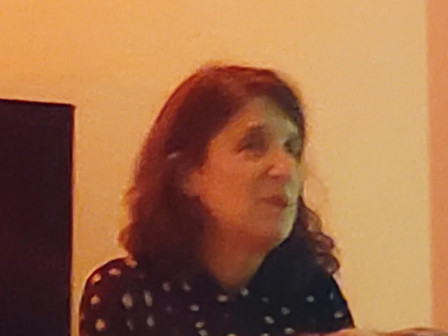 Lynne Sachs