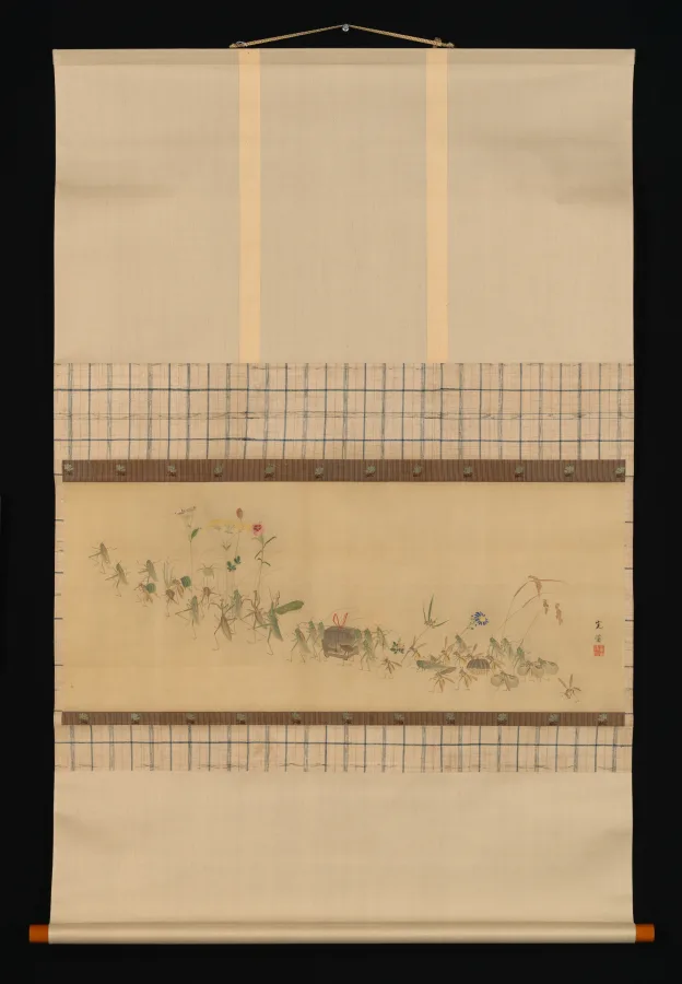 西山完瑛