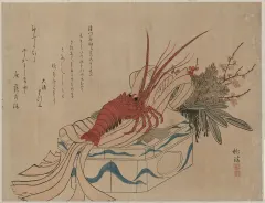 丹羽桃渓