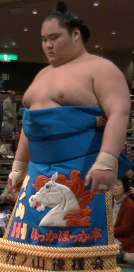 舛ノ山大晴