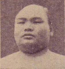 藤田山忠義