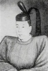 内藤政苗