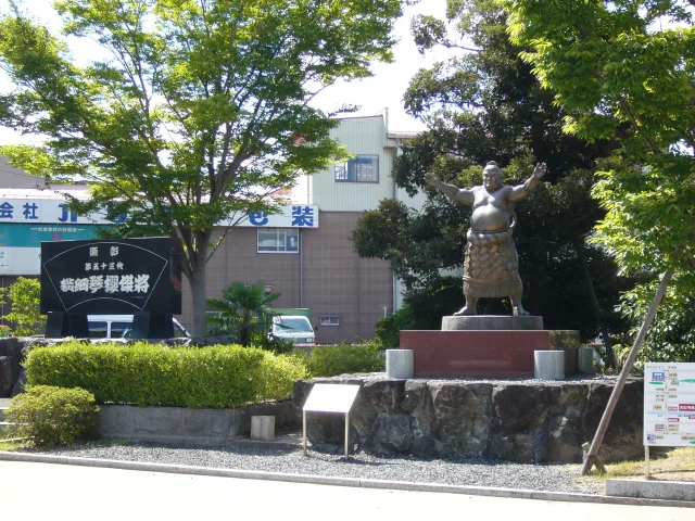 琴櫻傑將
