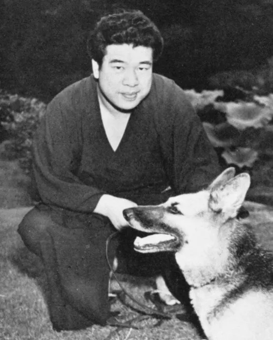 田村泰次郎