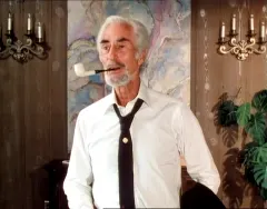 ファーディ・メイン